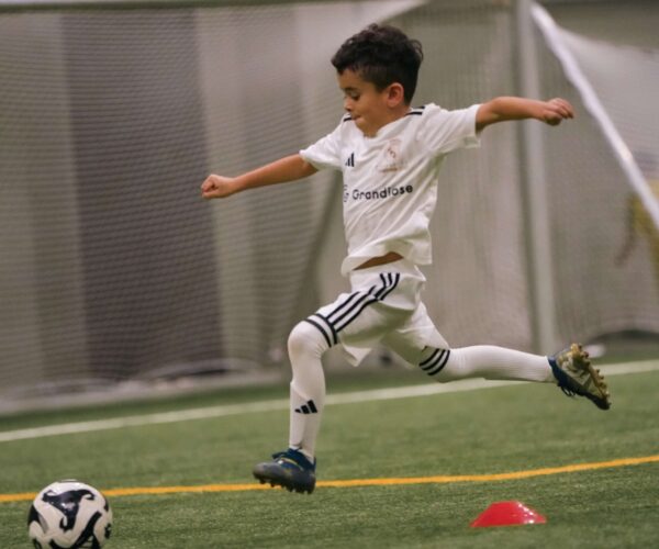 DSC02262-scaled-600x500